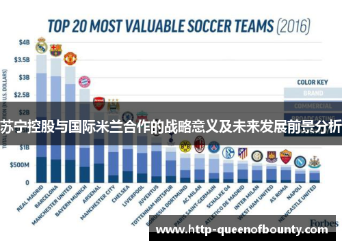 苏宁控股与国际米兰合作的战略意义及未来发展前景分析